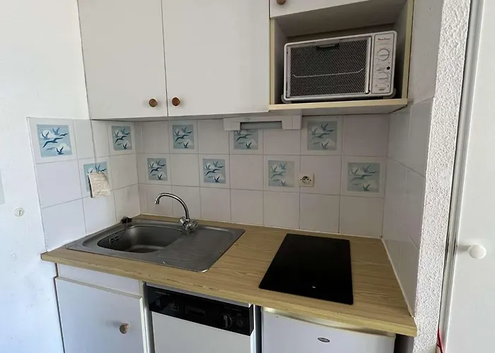 Appartamento T2 Avec Piscine, Lave-vaisselle, à 150m, Animaux Acceptés - Fr-1-702-42 *