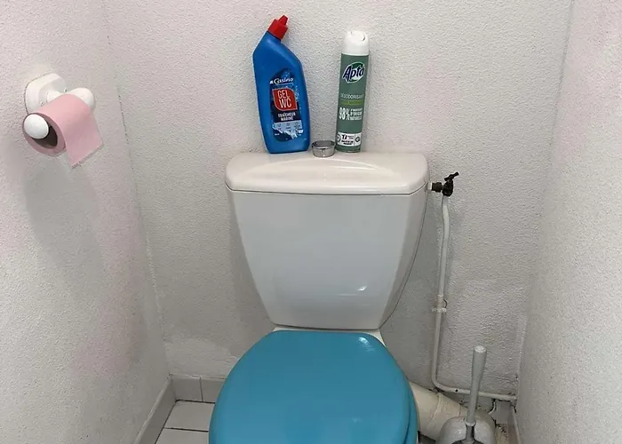 T2 Avec Piscine, Lave-vaisselle, à 150m, Animaux Acceptés - Fr-1-702-42 * Agde